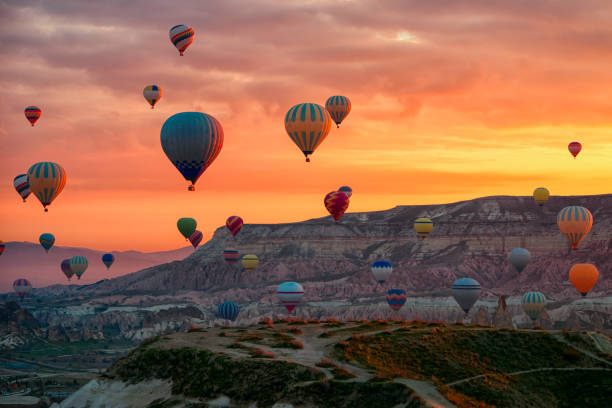 Hot air balloons over a scenic landscape